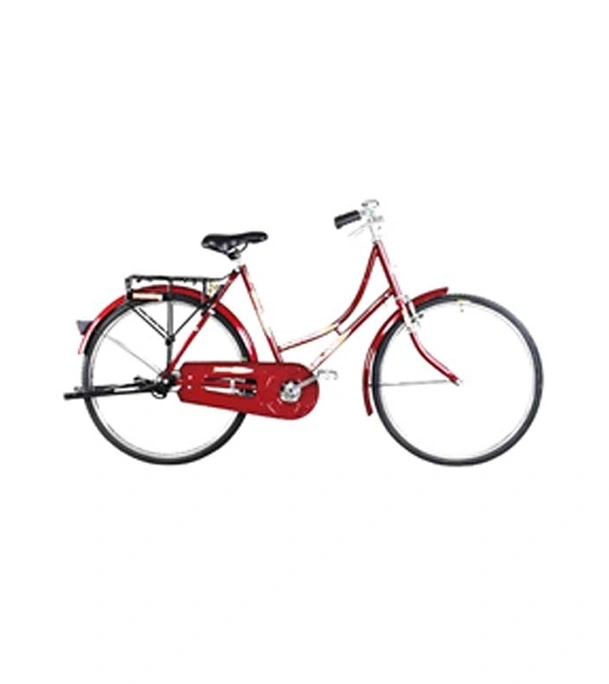 Duranta Steel 1-Spd Durjoy Ladies 26″