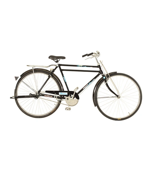 Duranta Classic Bicycle 28″
