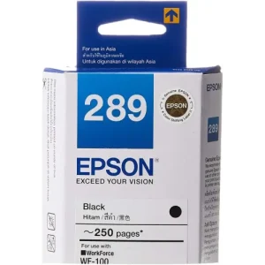 Epson T289 Black Ink Bottle