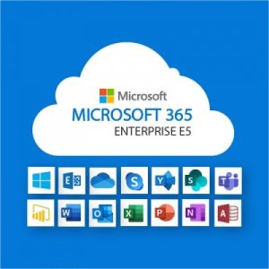 Microsoft 365 Enterprise E5 (1 Year Subscription)