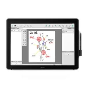 Wacom DTK-2451 Interactive Pen Display