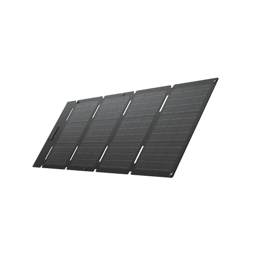 EcoFlow 60W Portable Solar Panel