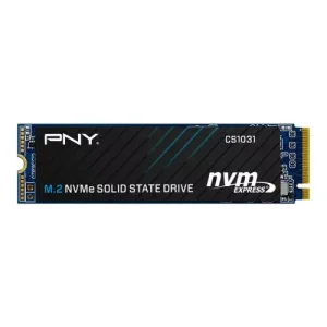 PNY CS1031 256GB M.2 NVMe Internal SSD